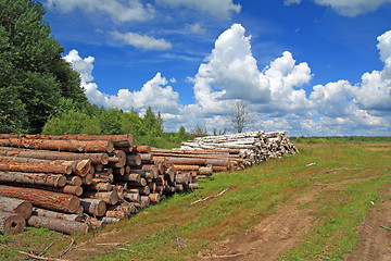 Image showing timber in a field near the forest