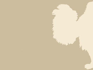 Image showing camel silhouette on brown background