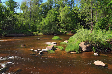 Image showing mountain river flow between stone 