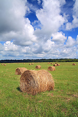 Image showing stack hay on summer field 