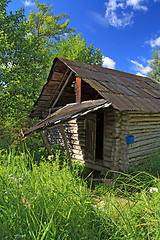 Image showing hunter's hut in a green forest