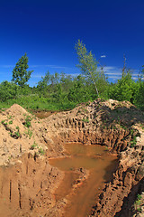 Image showing old sandy quarry in green wood