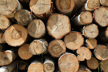 Image showing firewood