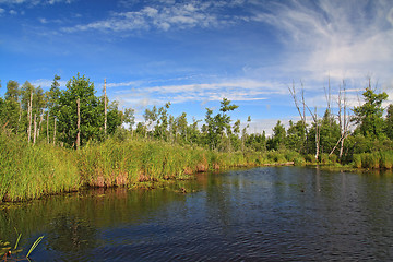 Image showing timber lake