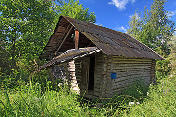 Image showing hunter's hut in a green forest