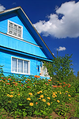 Image showing summer flowerses near rural building