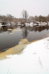 Image showing snow tree on coast river 