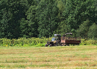 Image showing old tractor on summer field