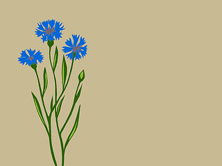 Image showing cornflower silhouette on brown background