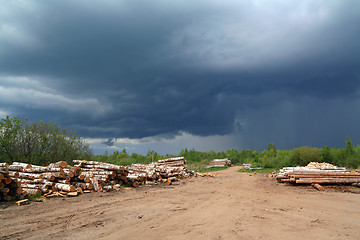 Image showing birch log on rural road under cloudy sky