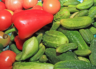 Image showing red pepper amongst cucumber and tomato