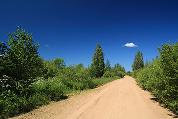 Image showing rural road in green wood