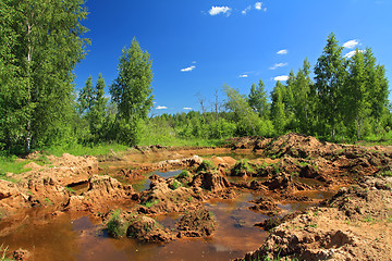 Image showing old sandy quarry in green wood