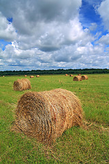 Image showing stack hay on summer field