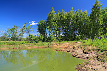 Image showing green lake in summer wood
