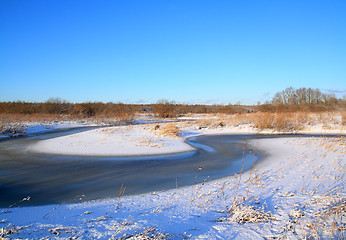 Image showing snow bushes on coast river 