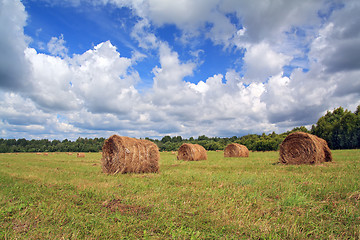 Image showing stack hay on summer field