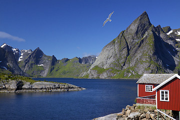 Image showing Lofoten islands