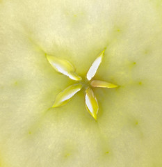 Image showing apple detail