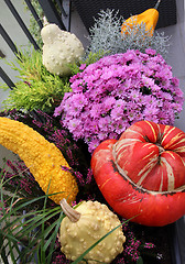 Image showing Well decorated terrace with a lot of flowers and vegetables 