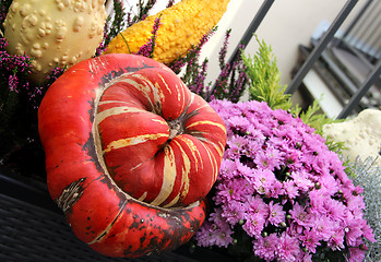 Image showing Well decorated terrace with a lot of flowers and vegetables 