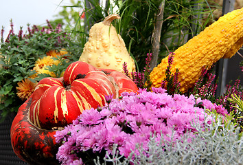 Image showing Beautifull decorated terrace with a lot of flowers and vegetable