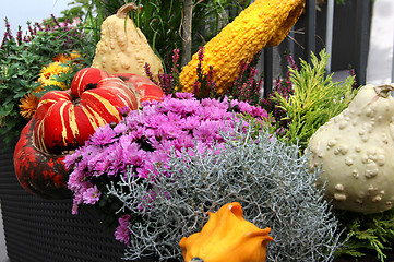 Image showing Well decorated terrace with a lot of flowers and vegetables 