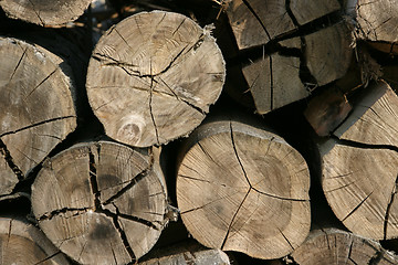 Image showing timber