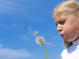 Image showing Little girl blows on dandelion