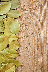 Image showing bay leaves