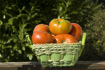 Image showing basket salad tomatoes
