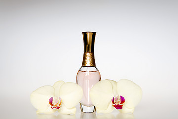 Image showing Perfume bottles