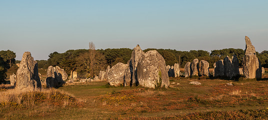 Image showing Megalithic Monuments in Carnac