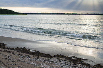 Image showing Sandy coast of Baltic sea