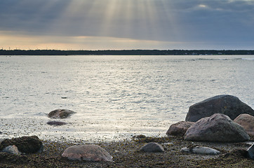 Image showing Stones on coast of Baltic sea