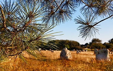 Image showing Landscape in Carnac