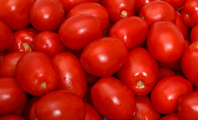 Image showing Lot of Red Tomatoes background