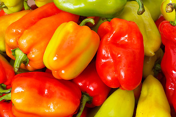 Image showing Lot of Multicolored Sweet Pepper background