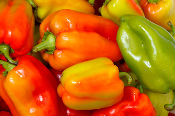 Image showing Lot of Multicolored Sweet Pepper background