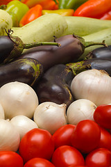 Image showing Multicolored Vegetable Variety background