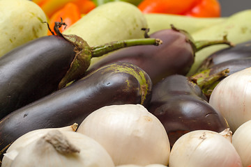 Image showing Multicolored Vegetable Variety background