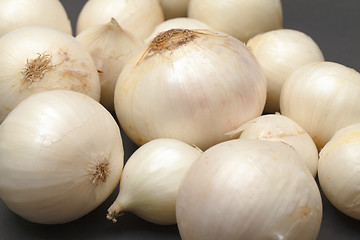 Image showing White Onion Bulb