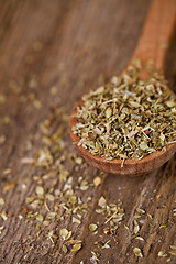 Image showing dry oregano in wooden spoon 