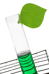 Image showing Test Tube with Leaf Symbol