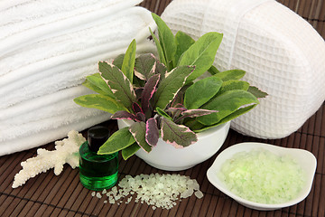 Image showing Herb Spa Therapy