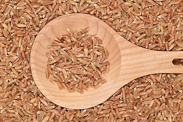 Image showing Wheat on a wooden spoon