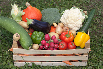 Image showing Fresh vegetables in a wooden box