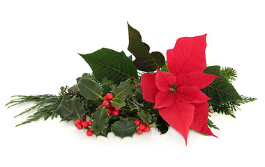 Image showing Poinsettia Flower Decoration