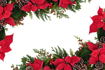 Image showing Poinsettia Floral Border