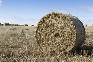 Image showing Hay bales